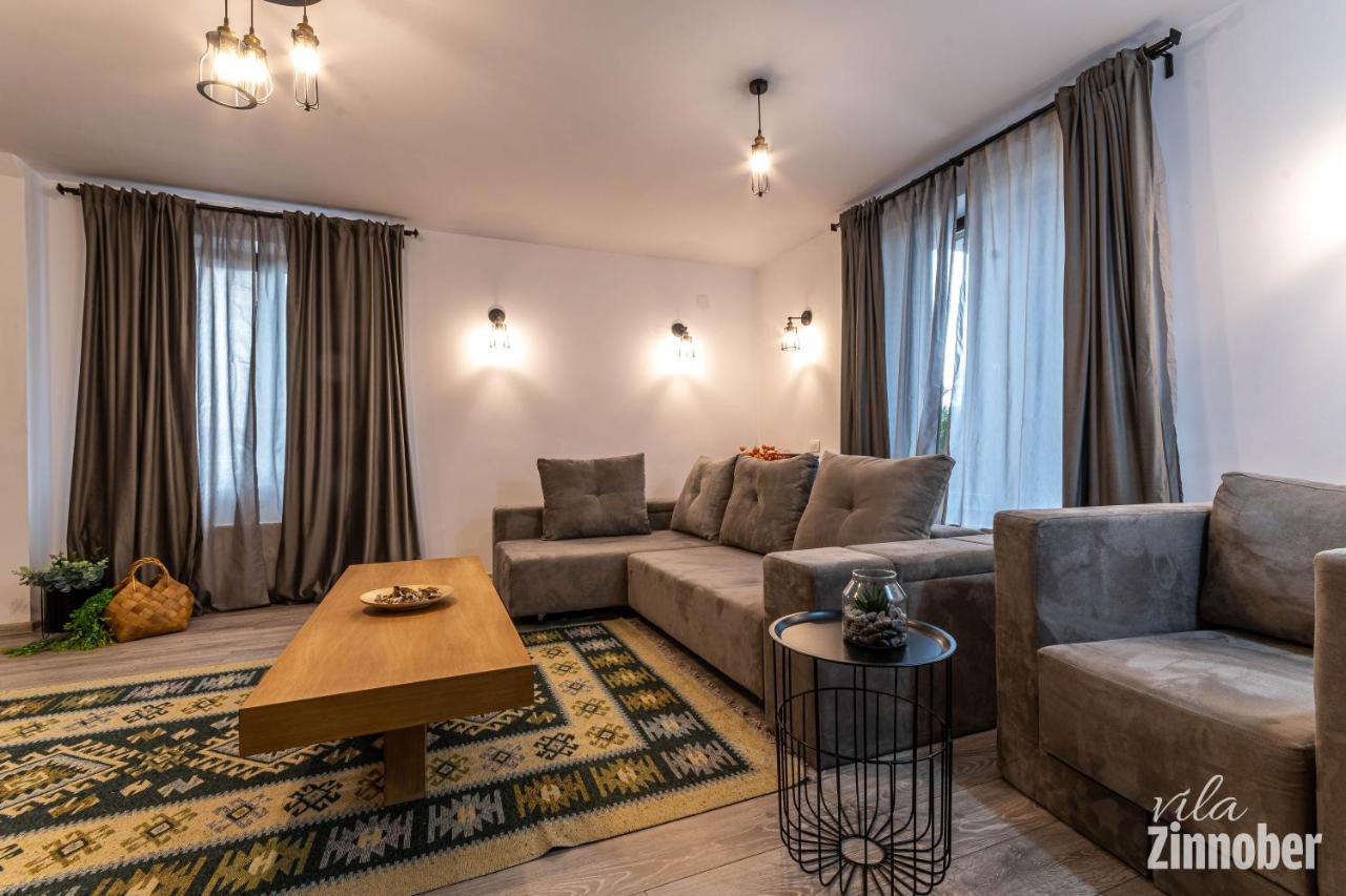 Vila Zinnober Brassó Kültér fotó