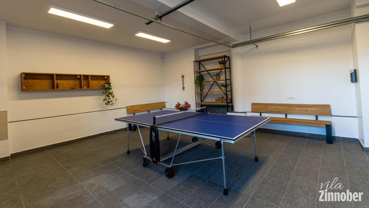Vila Zinnober Brassó Kültér fotó